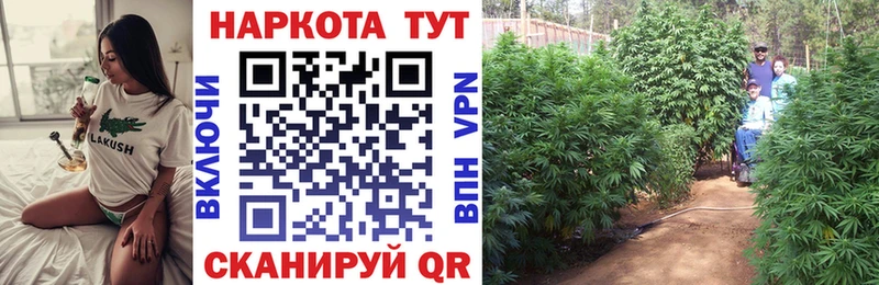 Купить наркотики цена Подпорожье Марихуана блэк спрут вход Alpha PVP ГАШИШ Кокаин Мефедрон