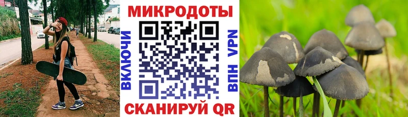 Галлюциногенные грибы мухоморы  Подпорожье 